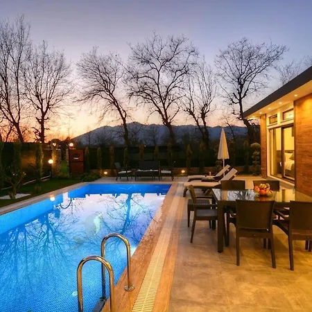 Lara Villa